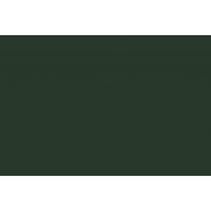 COLOR PLUS A4 180G 50FLS SANTIAGO JOTAPEL